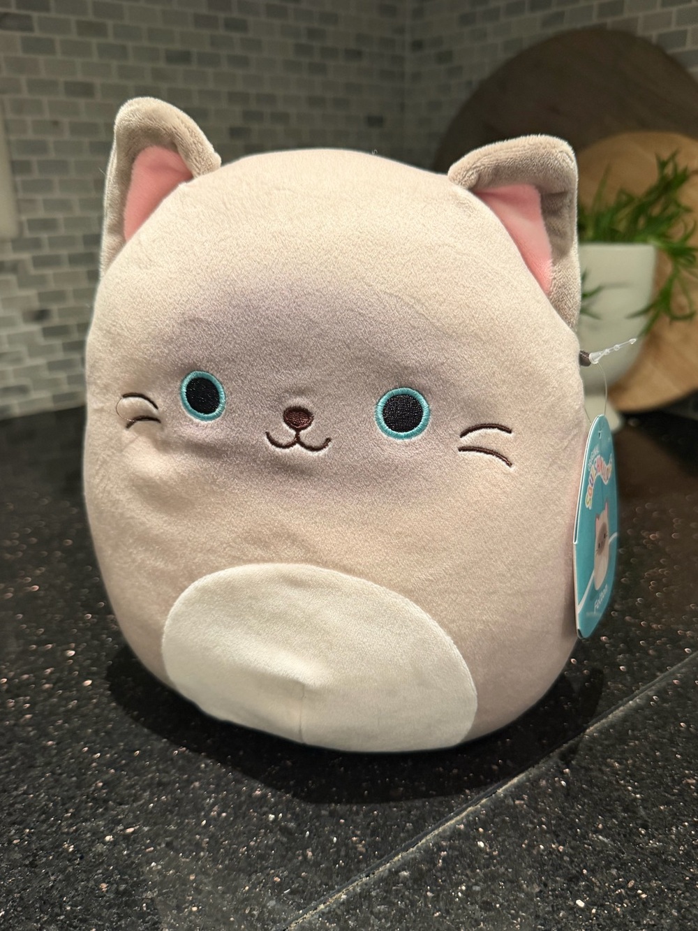 Squishmallows Felton the Siamese Cat Plush NWT